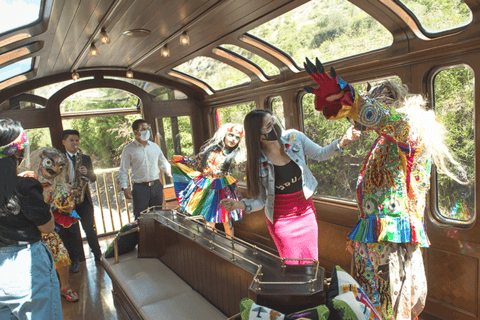 Depuis Cusco : Excursion d'une journée au Machu Picchu en train Vistadome