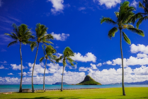 Gemas Ocultas del Círculo Insular de Oahu con el Templo Byodo-InJoyas Ocultas de Oahu con el Templo Byodo In y el Avistamiento de Tortugas