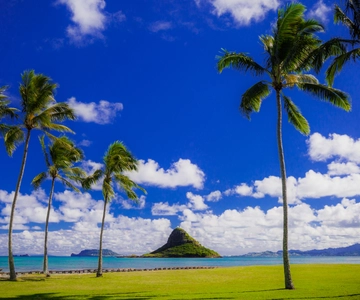 Hidden Gems of Oahu Circle Island Tour with Byodo-In Temple