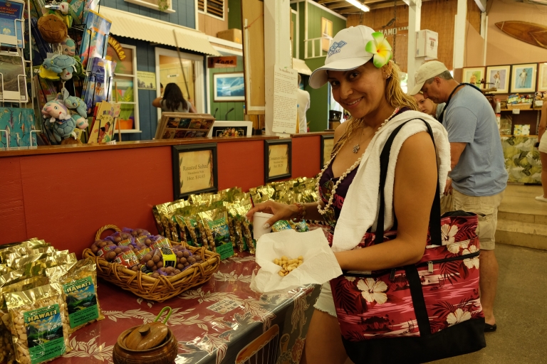 Verborgene Schätze von Oahu Circle Island Tour mit Byodo-In-TempelOahu mit Byodo In Tempel und Schildkrötenbeobachtung
