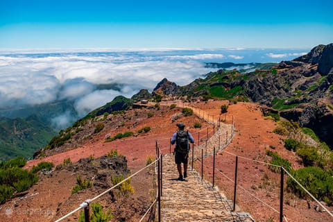 Funchal: Vale das Freiras, Safari Tour e Miradouros
