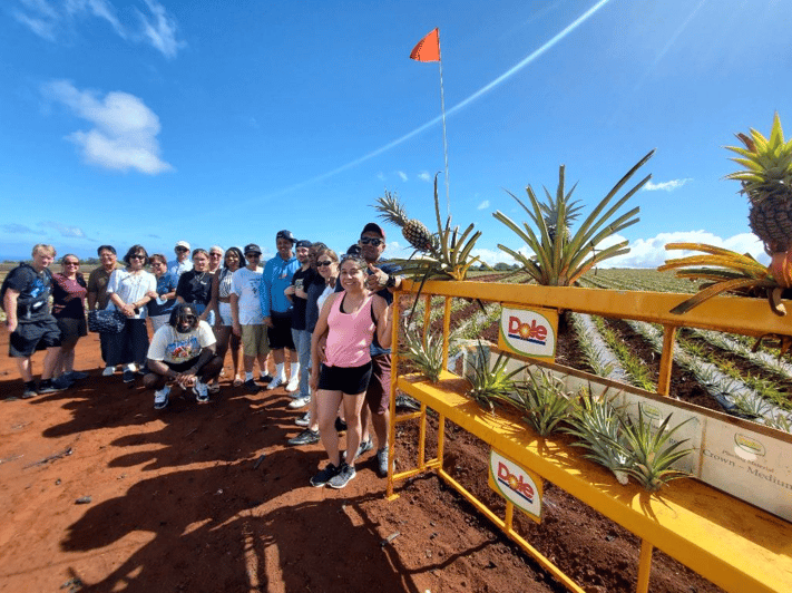 Oahu Island The North Shore Dole Pineapple Farm Tour GetYourGuide