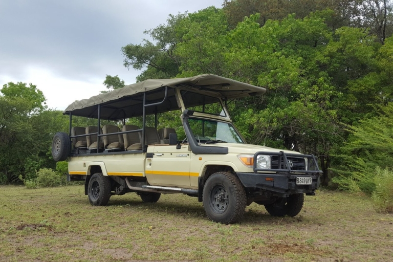 Wycieczka jednodniowa po Hwange — safari z grami