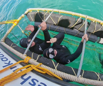 Kleinbaai: Shark Viewing Boat Trip with Shark Cage Diving