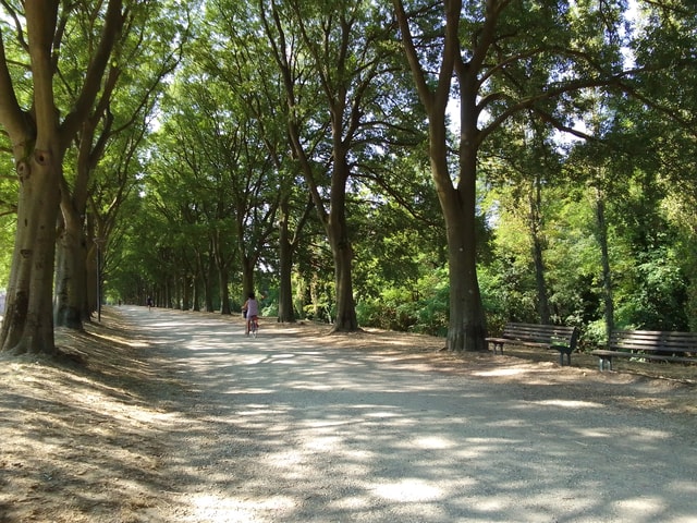 Visit Ferrara Private City Highlights Guided Bike Tour in Ferrara