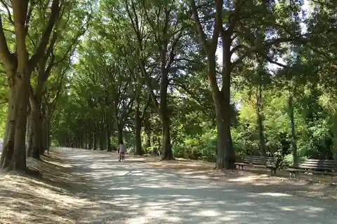 Ferrara: Private City Highlights Guided Bike Tour