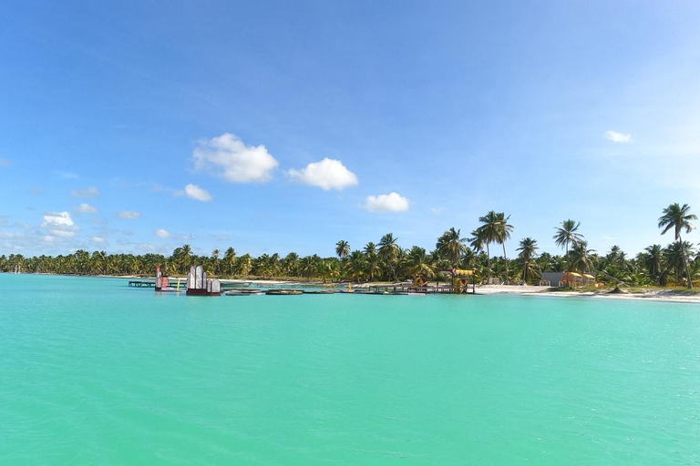 Bayahibe: Saona Island VIP Tour with Lunch & Drinks