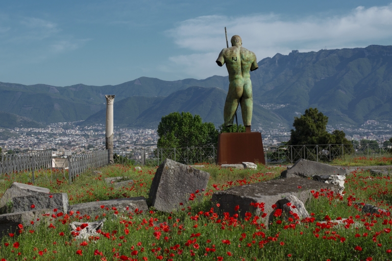 From Salerno: Pompeii Guided Walking Tour with Ticket