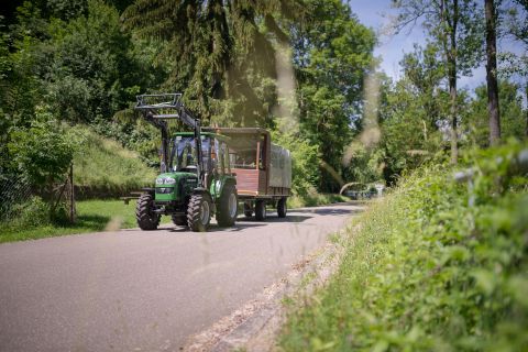 Stuttgart: Rundvisning på vinmarker i Neckardalen med overdækket vogn