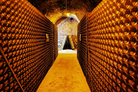 Reims/Epernay: Private Moet & Chandon Winery Tour & Tastings