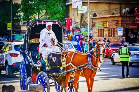 Assuan : Assuan Stadtrundfahrt mit der Pferdekutsche