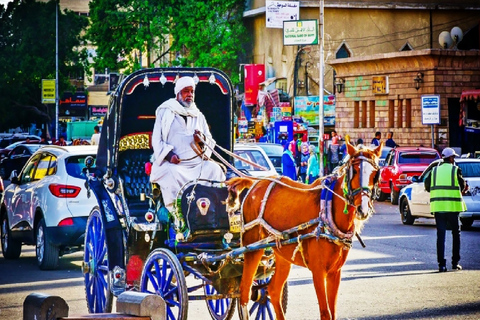 Aswan: Private Horse &amp; Carriage City Tour with Hotel Pickup