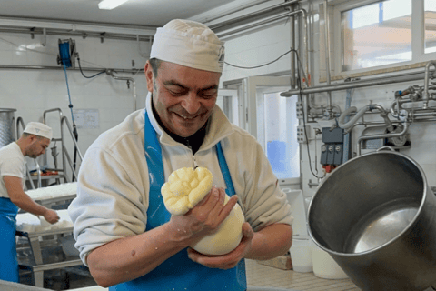 Martina Franca: Mozzarella and Pasta Workshop with Farm Tour Shared Tour, Workshops with Tasting