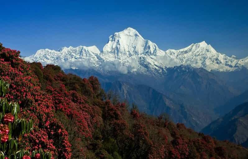 2 Days Short Trek Ghorepani Poon Hill | GetYourGuide