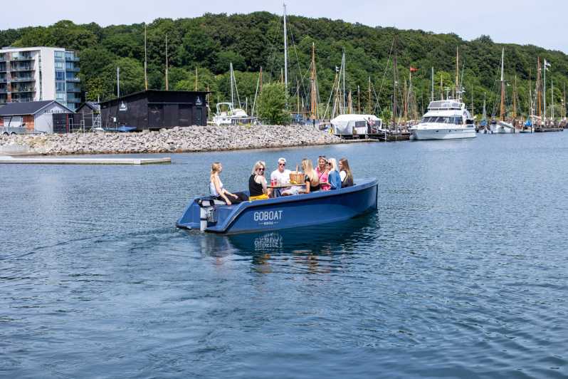 Aarhus: GoBoat Self-drive Boat Tour