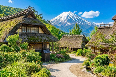 Mt Fuji 8 Spots Customizable Sightseeing Day Tour with Guide Mt Fuji 8 Spots Customizable Sightseeing Day Tour with Guide