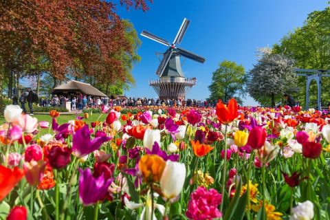 Ab Amsterdam: Keukenhof & Zaanse Schans Windmühlen Tagestour
