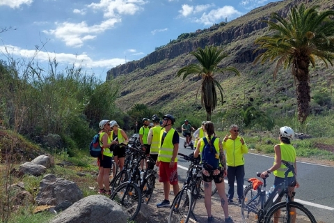 Maspalomas: wycieczka rowerem elektrycznym po wzgórzach Ayagaures i degustacja tapasE-Bike Tour z tapas