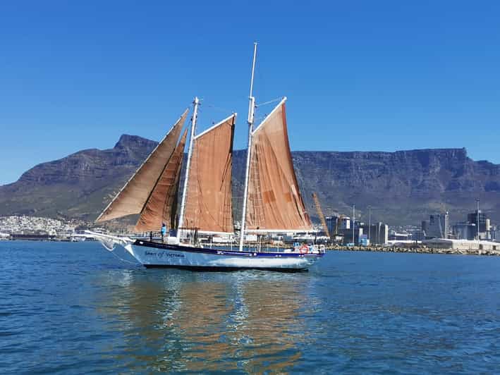 Cape Town 1 Hour Table Bay Sailing Tour GetYourGuide