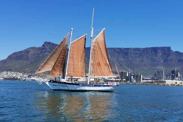 Kapstadt: 1-stündige Table Bay SegeltourKapstadt: Table Bay Segeltour