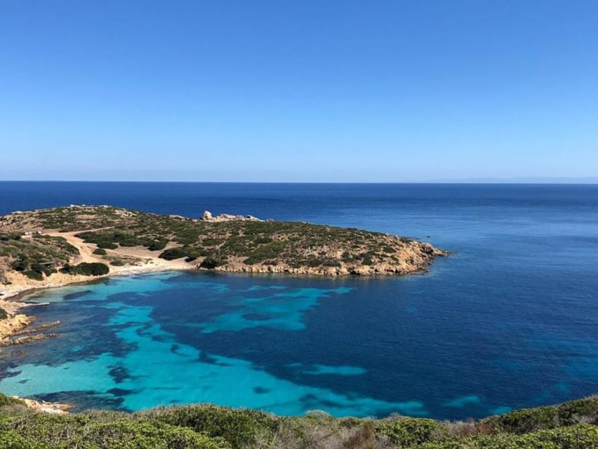 From Stintino: Asinara National Park Guided Tour By Minivan | GetYourGuide