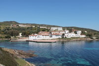 Von Stintino, Asinara National Park geführte Tour von Minivan - Housity