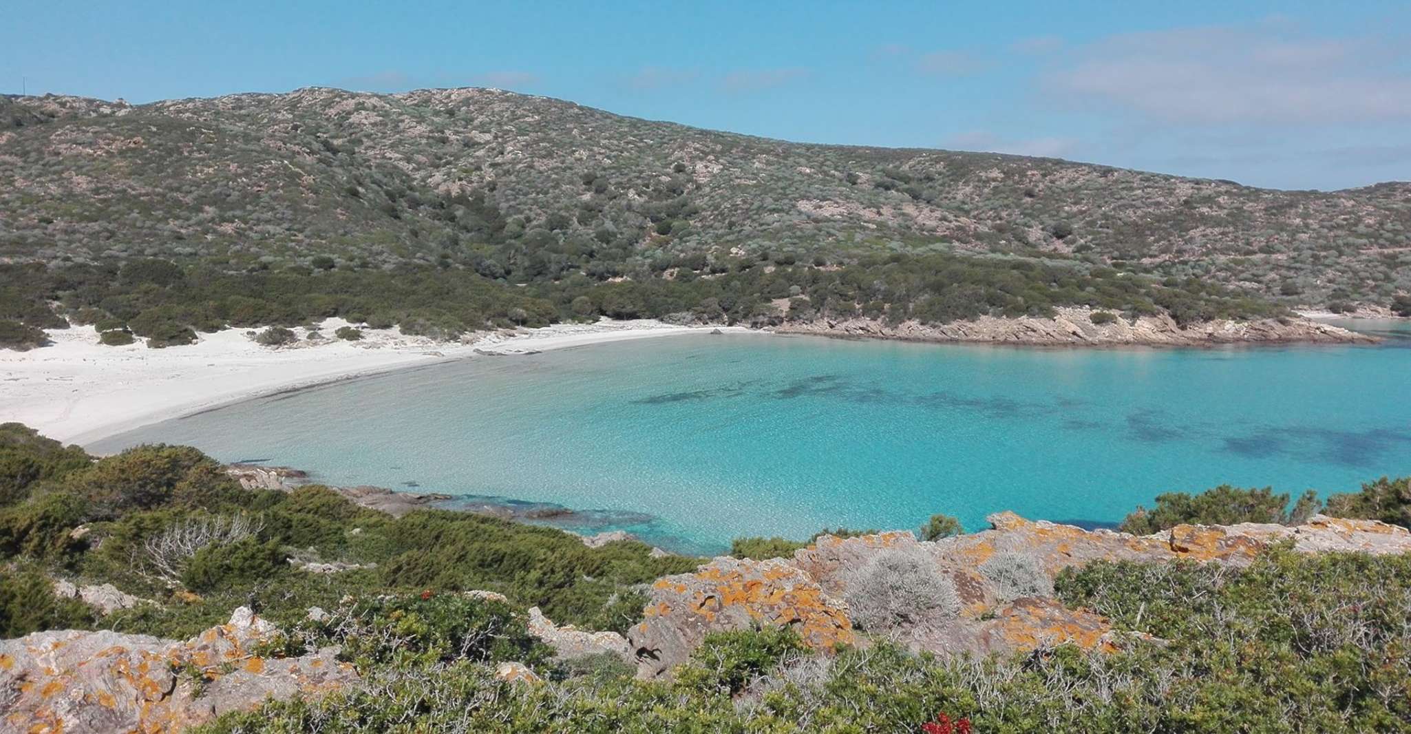 From Stintino, Asinara National Park Guided Tour by Minivan - Housity