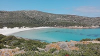 Von Stintino, Asinara National Park geführte Tour von Minivan - Housity