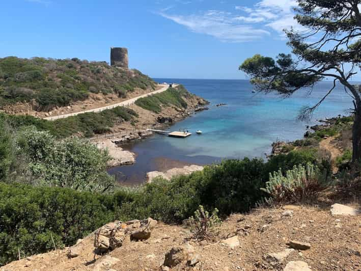 From Stintino: Guided Tour Of Asinara National Park | GetYourGuide