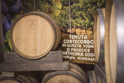 De Sorrente et Naples : Expérience de vin et de cuisine à Cortecorbo