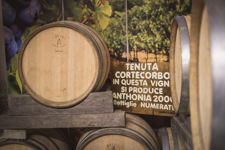 Desde Sorrento y Nápoles: Cortecorbo Experiencia de Vino y Cocina