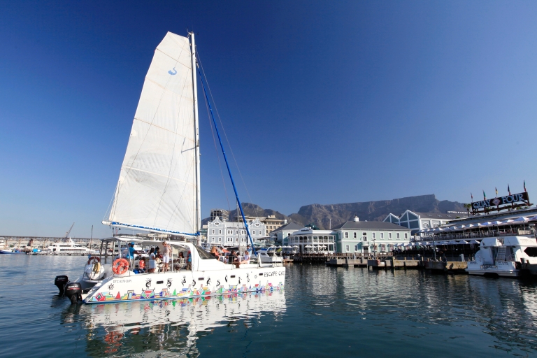 Ciudad del Cabo: Crucero al atardecer en catamarán por la Bahía de la Mesa