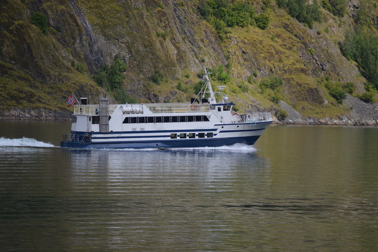Reykjavik: Wal- und Meeresabenteuer-TourVom Treffpunkt