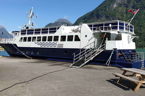 Reykjavik: Wal- und Meeresabenteuer-TourVom Treffpunkt