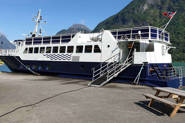 Reykjavik: Wal- und Meeresabenteuer-TourVom Treffpunkt