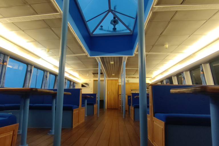 Reykjavik: Wal- und Meeresabenteuer-TourVom Treffpunkt