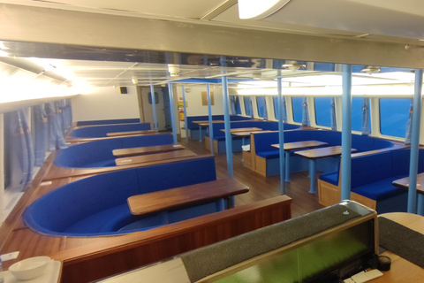 Reykjavik: Wal- und Meeresabenteuer-TourVom Treffpunkt