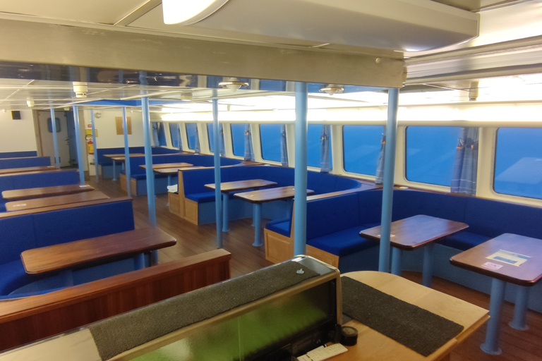 Reykjavik: Wal- und Meeresabenteuer-TourVom Treffpunkt