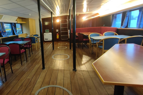 Reykjavik: Wal- und Meeresabenteuer-TourVom Treffpunkt