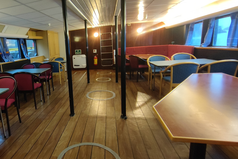 Reykjavik: Wal- und Meeresabenteuer-TourVom Treffpunkt