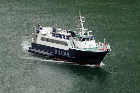 Reykjavik: Wal- und Meeresabenteuer-TourVom Treffpunkt