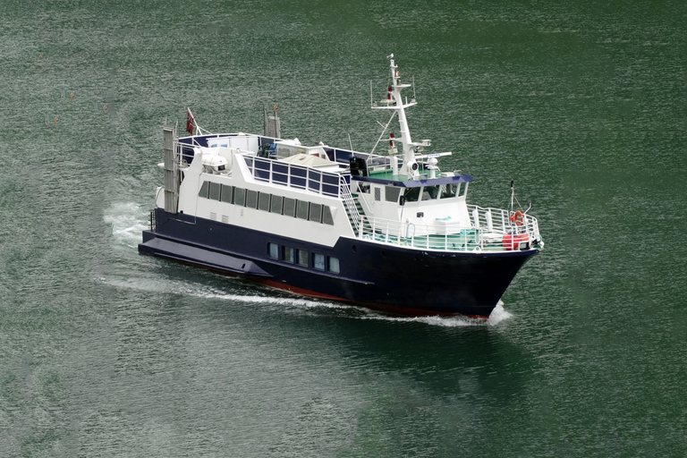 Reykjavik: Wal- und Meeresabenteuer-TourVom Treffpunkt