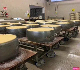Bologna: Parmesan, Essig, Lambrusco, Mittagessen +Transfer