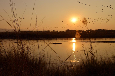 Nepal Tour: Kathmandu, Pokhara & Chitwan Park