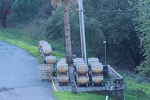 San Francisco: Ost, honung, ostron och vinresa i Sonoma