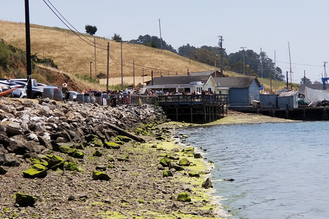 San Francisco: Ost, honung, ostron och vinresa i Sonoma