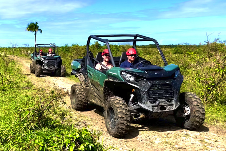 San Juan : Expérience d'Eco-Off-Road UTV à Hacienda Campo Rico