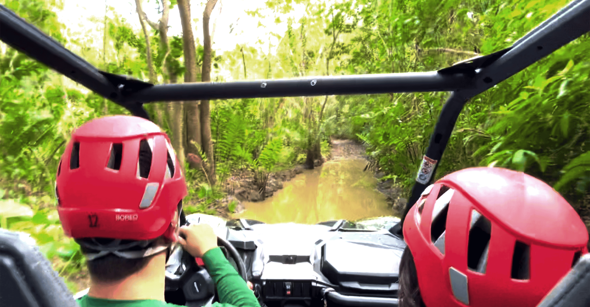 From San Juan, Puerto Rico Off-Road UTV Experience - Housity