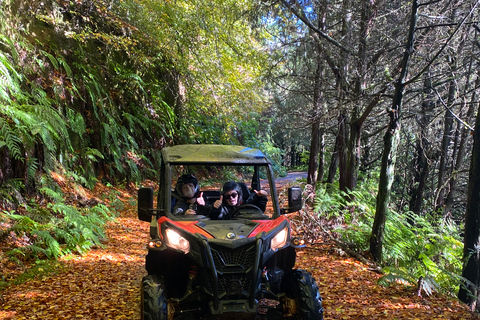 Madeira: Private Off-Road Buggy Driving Experience