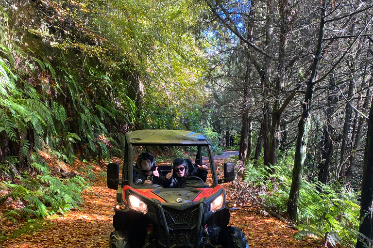 Madeira: Private Off-Road Buggy Driving Experience